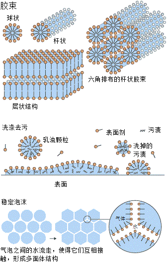 我和你表面活性剂的成名之曲 中国科学院