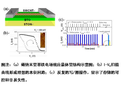 物理所开发出具有优异存储特性的碳纳米管基铁电场效应晶体管