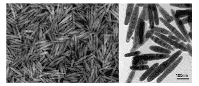 微结构决定的具有均一米状形貌的新奇银纳米颗粒的高产率合成