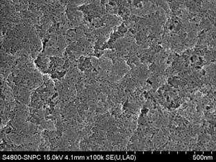上海硅酸盐所介孔碳材料的应用与合成研究取得