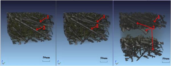 短碳纤维/环氧复合材料断裂过程sr-ct三维重建图像