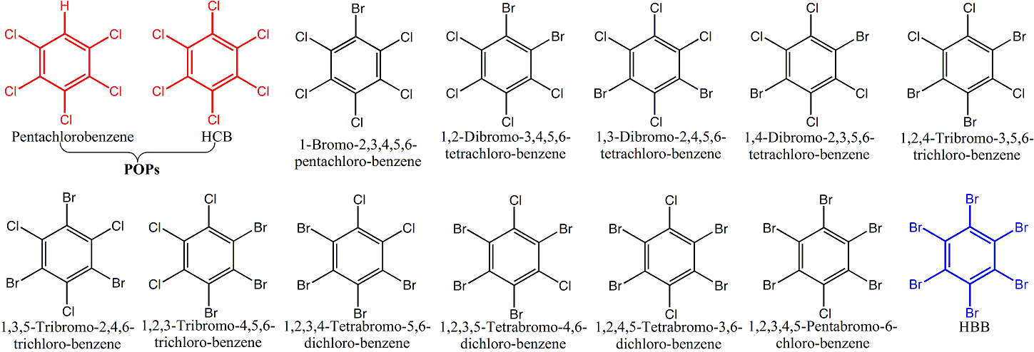 广州地化所发现和定量环境中六氯/溴混杂取代苯类污染物