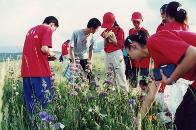 所组织暑期举办了"生物竞赛夏令营"活动,图为小营员们在采集植物标本